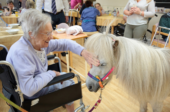 A Sheffield care provider has been using Shetland ponies to bring comfort and joy to its dementia sufferers.